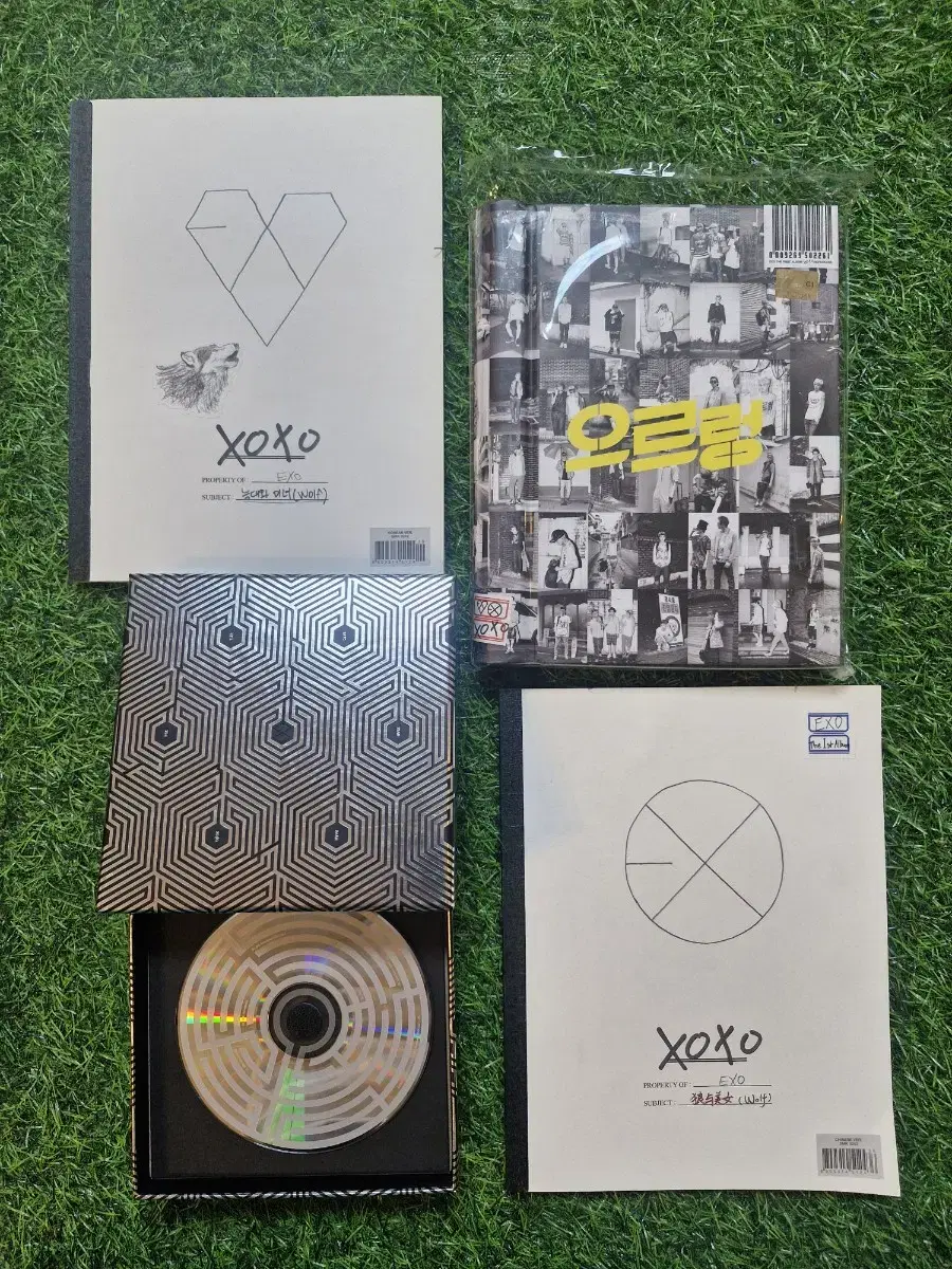 엑소 exo. 앨범 으르렁 / 중국판 cd 2장 일괄